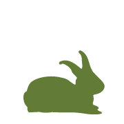 Logo-rabbit