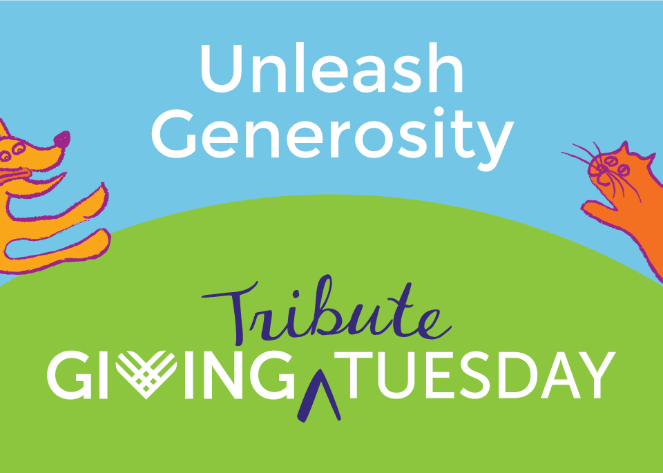 Giving Tribute Tuesday 2020 -- Unleash Generosity