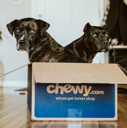 Chewy Wishlist