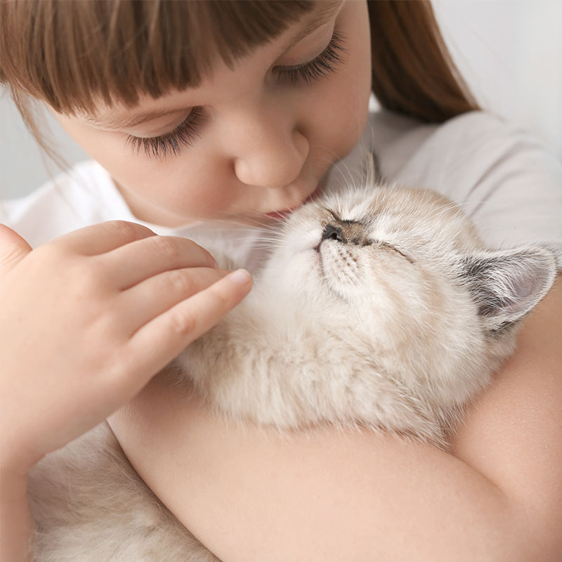 niño sosteniendo gatito