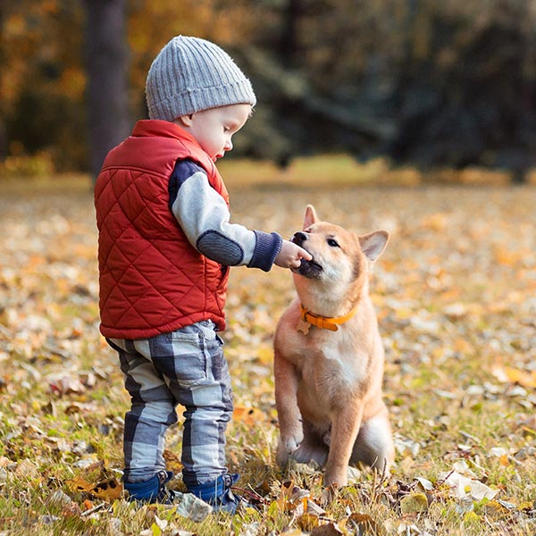 Child with dog