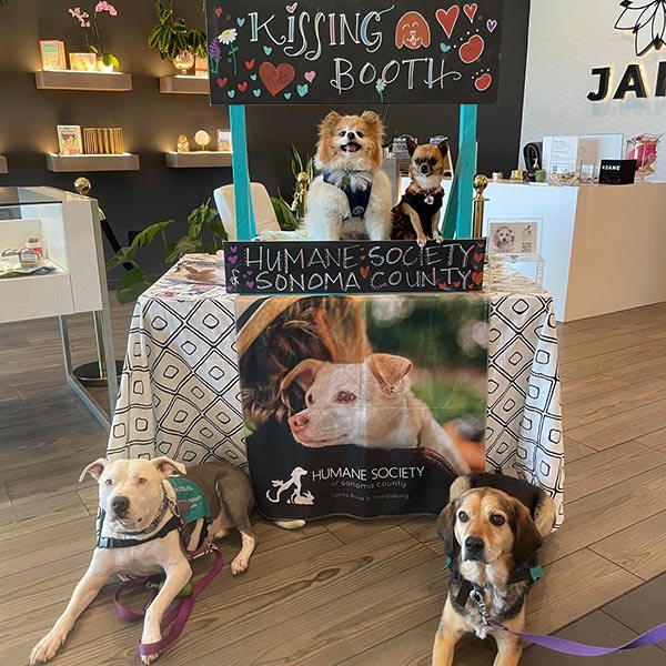 The HSSC Kissing Booth at Jane Dispensary 