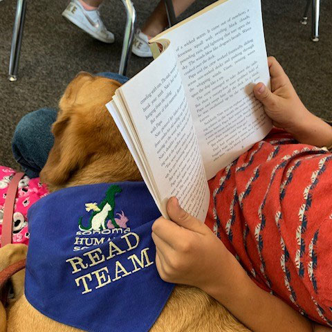Child reading to a dog