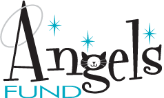 Angels Fund logo