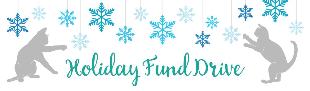 Holiday Fund Drive