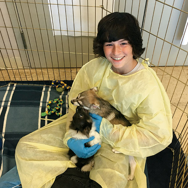 Boy holding puppies in Animal Adventure Youth Camp