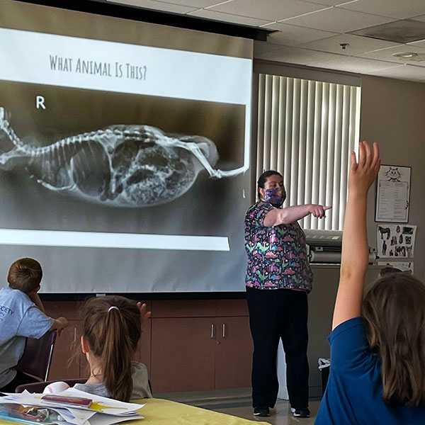 Viewing of an animal x-ray in Animal Adventure Youth Camp