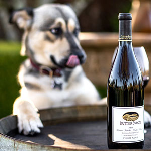 Pinot for Paws at Dutton Estate Winery