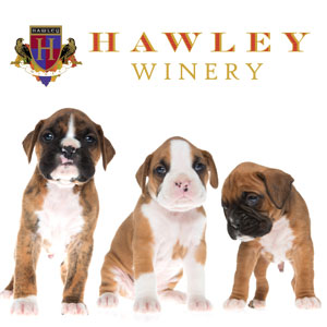 Hawley Winery