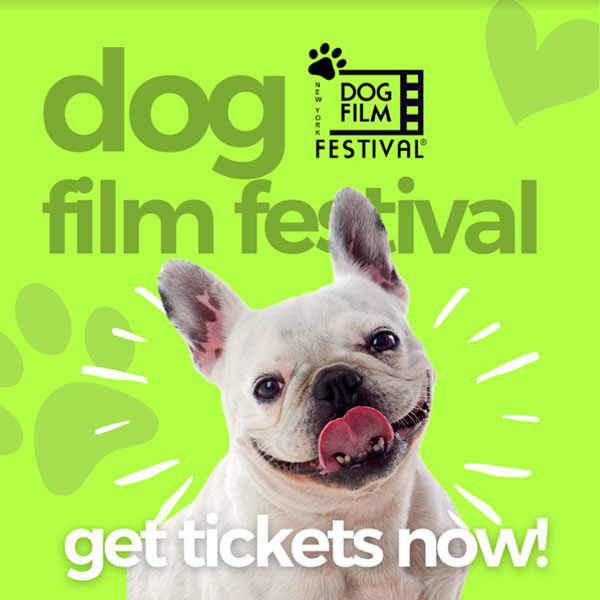 Festival Film Anjing di Bioskop Rialto