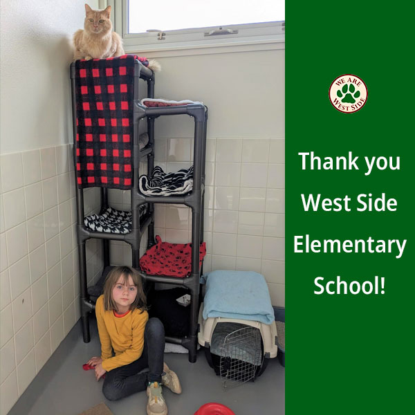 Estudiante de la Escuela Primaria Westside con donación de gato y manta