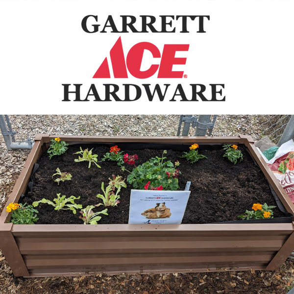 Garrett Ace Hardware Guinea Pig Garden