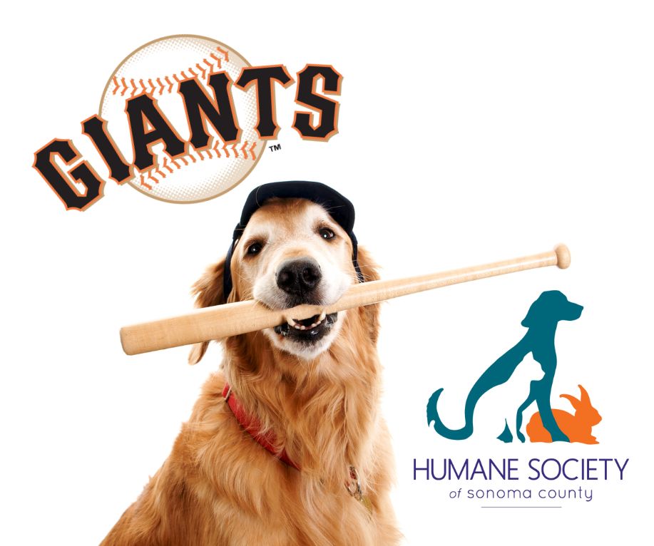 Giants baseball logo with dog holding baseball bat