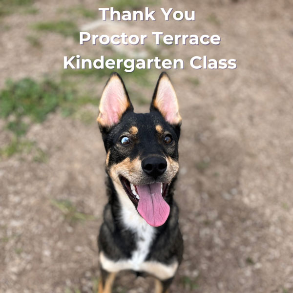 Thank you to Proctor Terrace Kindergarten Class