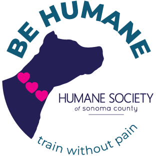 Be Humane, Train without Pain logo