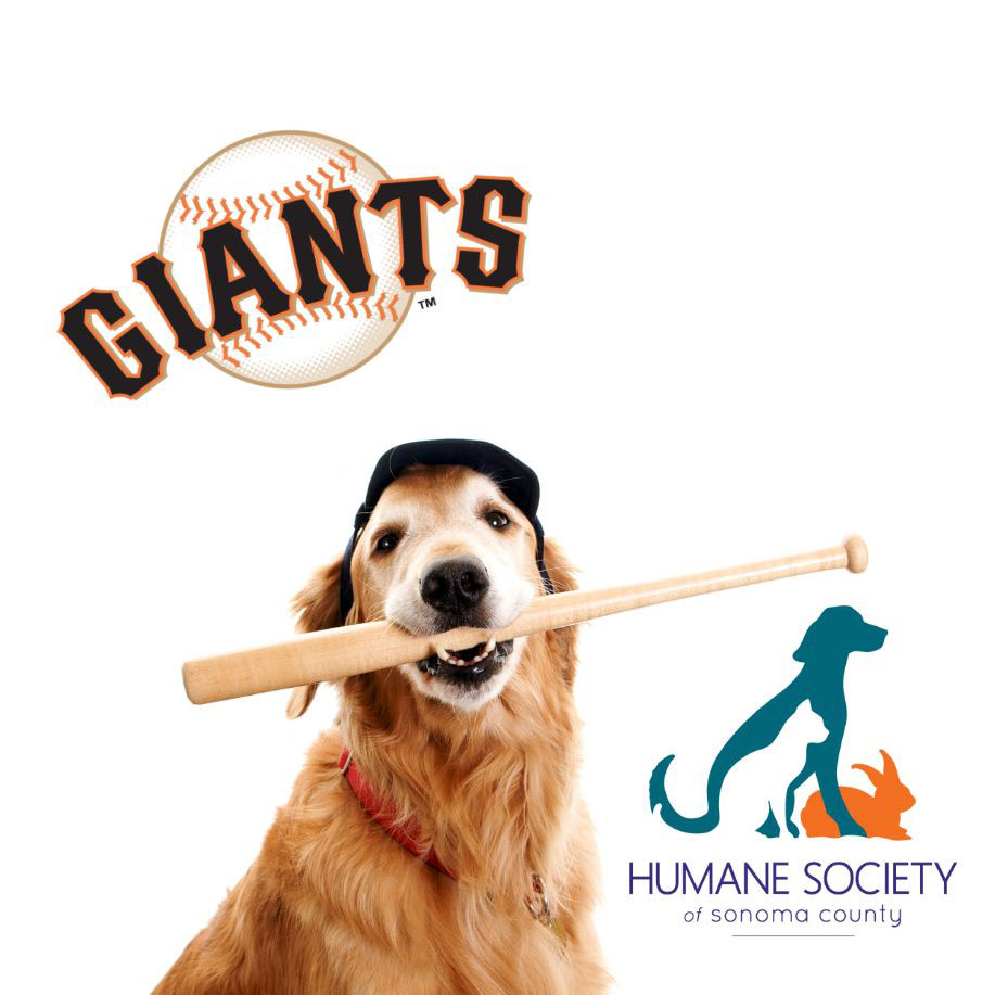 Official San Francisco Giants Pet Gear, Giants Collars, Leashes