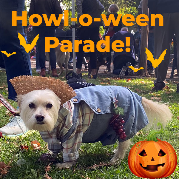Howl-o-ween Parade