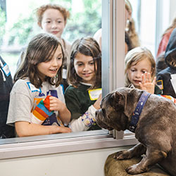 Kids looking at dog through the window