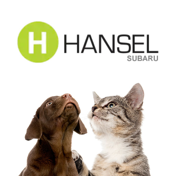 Dog and cat looking at Hansel Subaru event