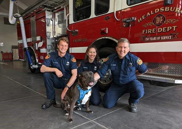 Philip the dog with the Healdsburg Fire Department