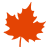 Orange-Red leaf icon for fall specials.