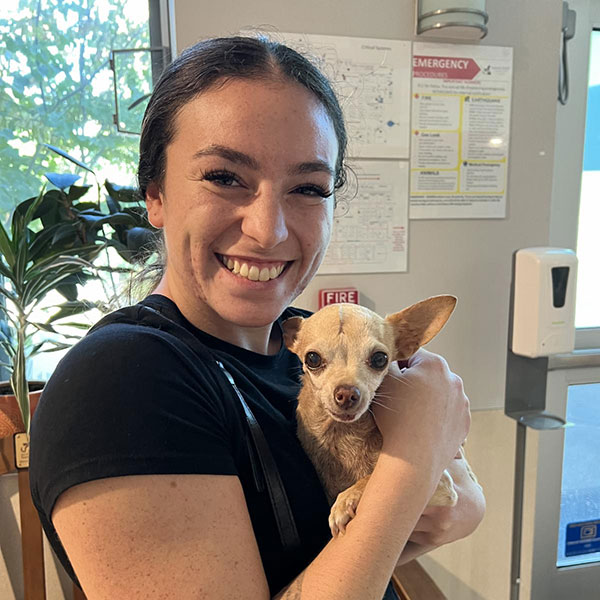 Belle the Chihuahua with her owner