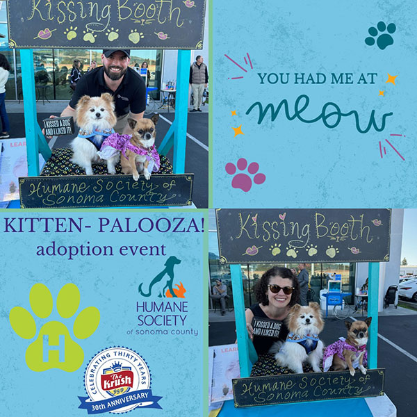 Evento de adopción de Kitten-palooza y HSSC Kissing Booth en Hansel Subaru