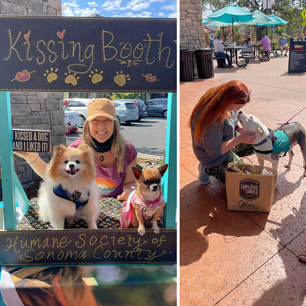 The HSSC Kissing Booth dogs Bebe, Elvis and Bubbles at Oliver's 35th Anniversary Celebration