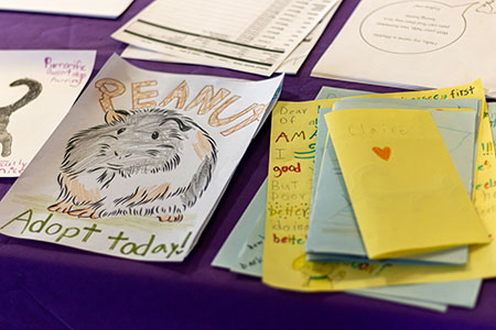 Adoption posters for guinea pigs made by camp attendees