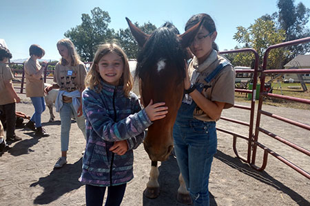 Campers petting a horse