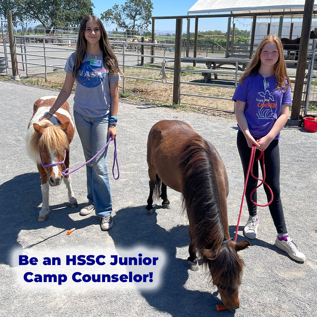Junior Camp Counselors standing with Forget Me Not Farm horses