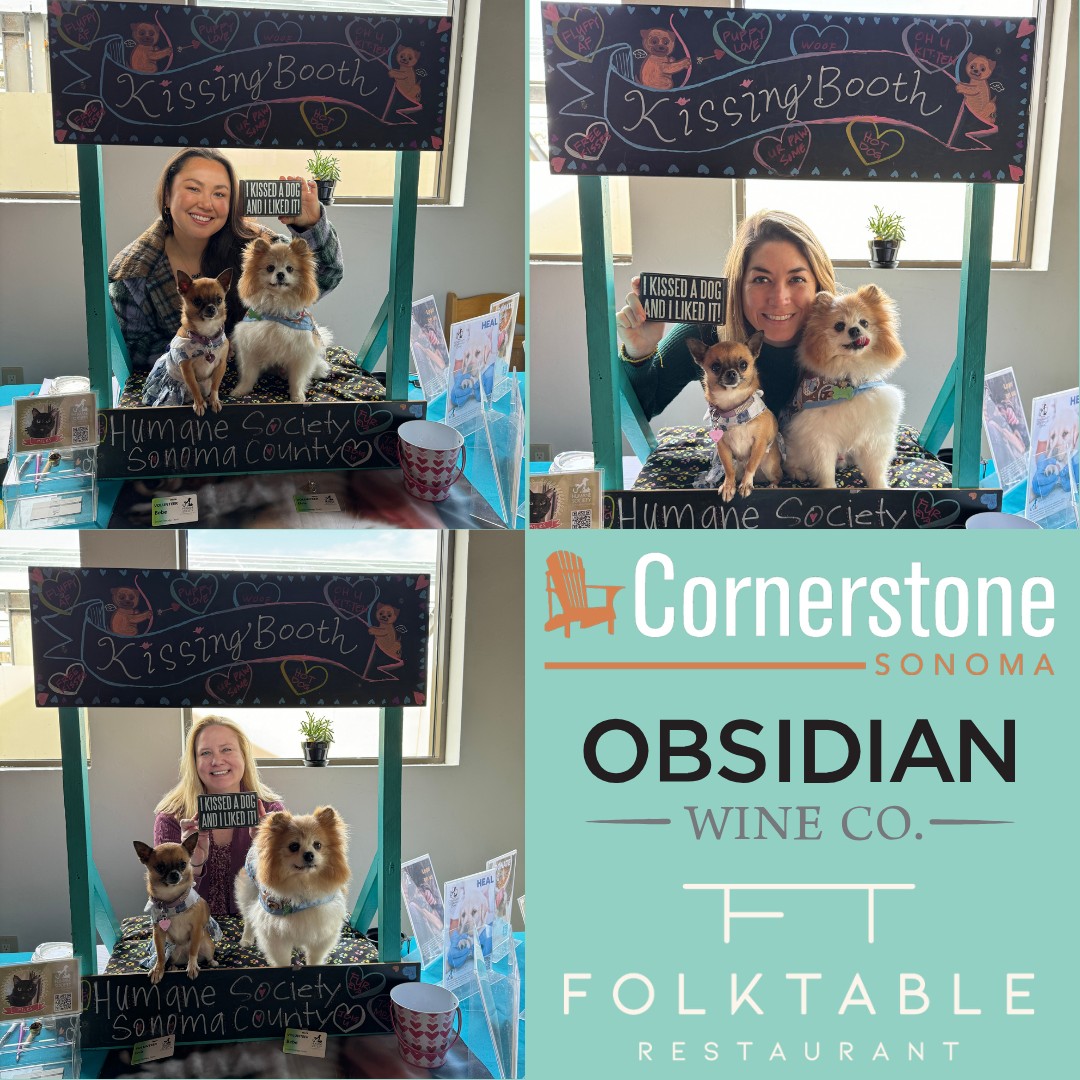Cornerstone Sonoma, Folktable Restaurant, සහ Obsidian Wine Co. HSSC සිපගැනීමේ කුටිය පවත්වයි.
