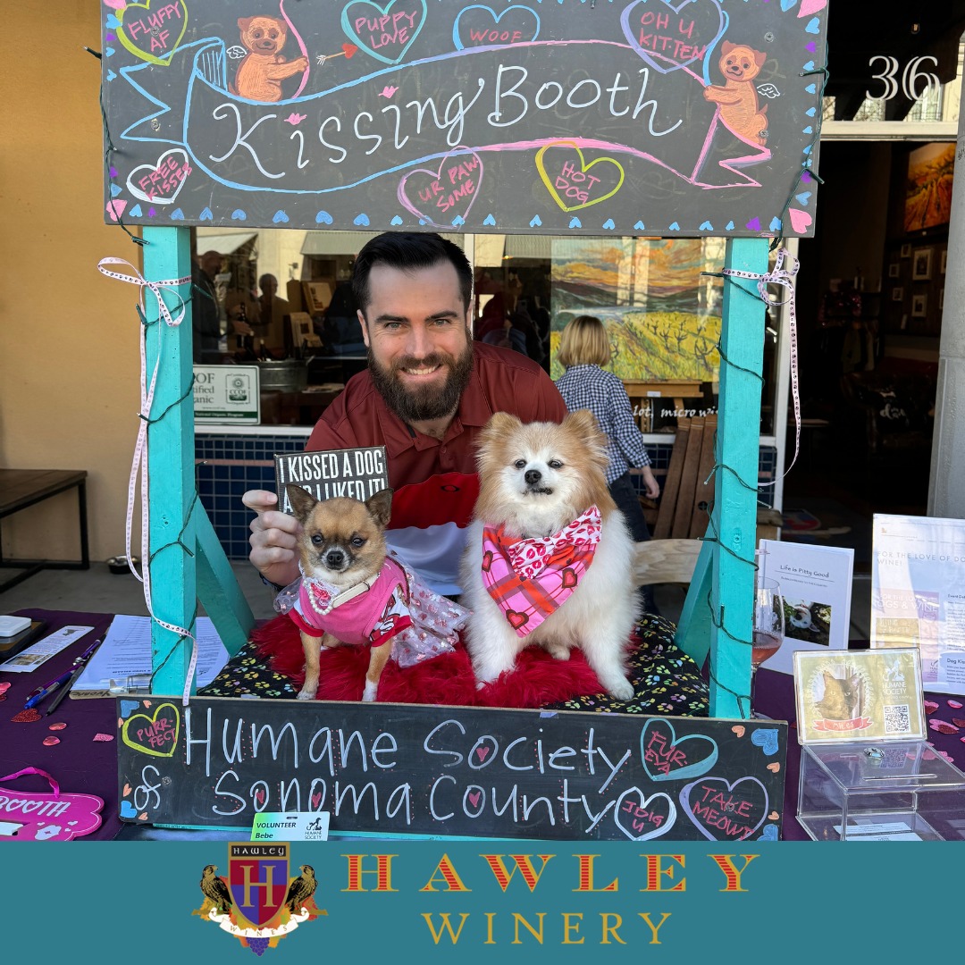 Puppy Love Funraiser at Hawley Winery