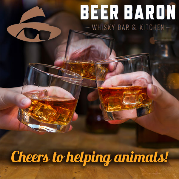 Beer Baron Whiskey Bar & Kitchen - Cheers to helping animals! (photo of whiskey toast)