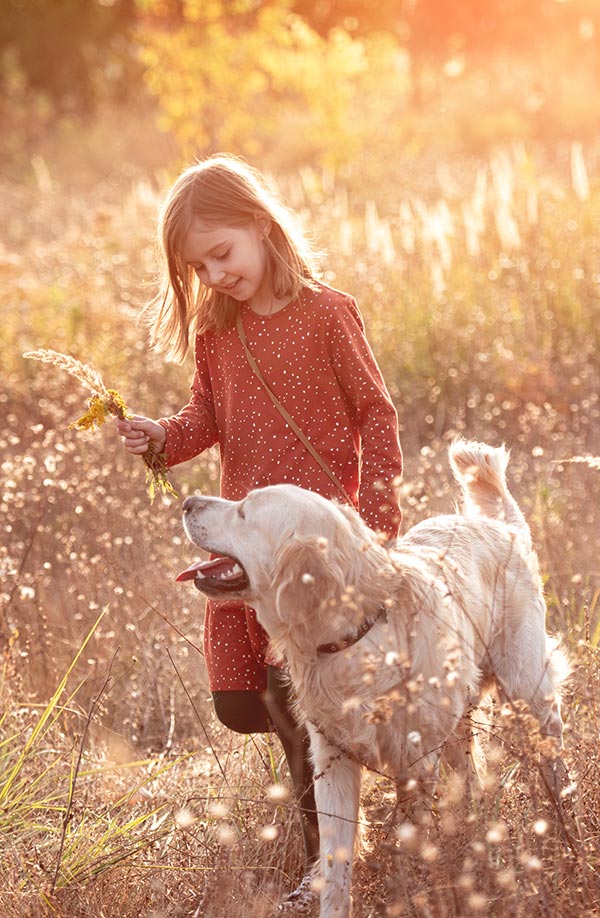 Child walking with dog in field
