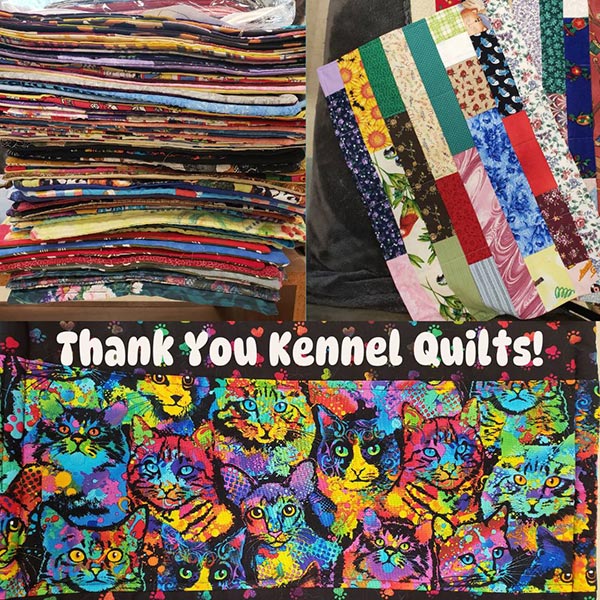 Kennel Quilts donation of 85 kennel quilts