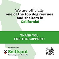 One of the Top Dog Rescues and Shelters in California! - Sniffspot