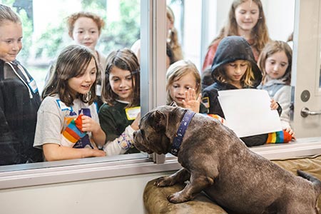 Campers looking at B.J. the bulldog