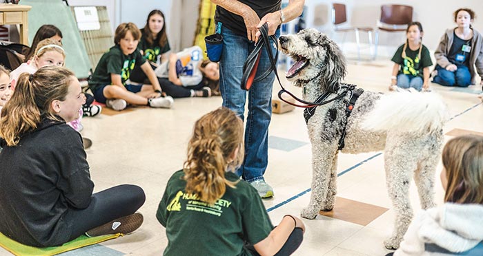 Kids in class with a shelter dog