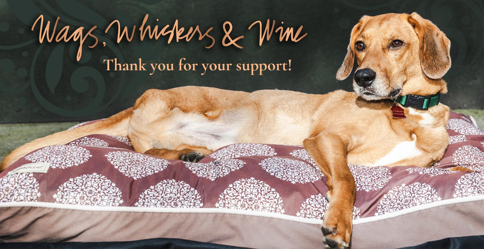 Wags, Whiskers & Wine - Thank you for your support!