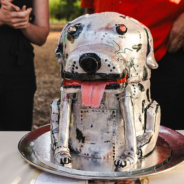 Dog cake at the Wags, Whiskers and Wine gala