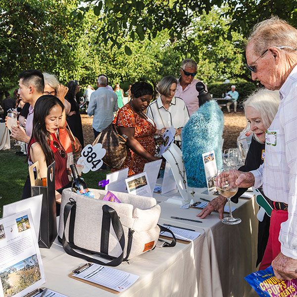 Silent auction items at the Wags, Whiskers & Wine gala