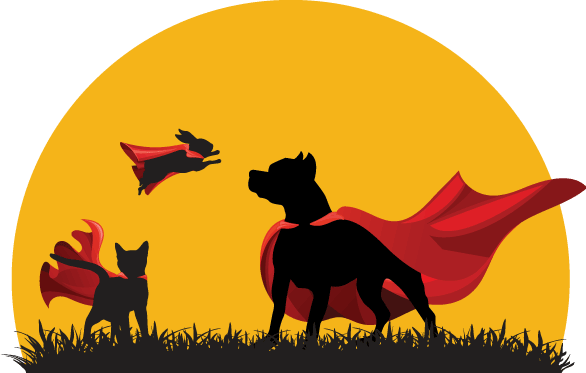 Cat, dog and rabbit in superhero capes