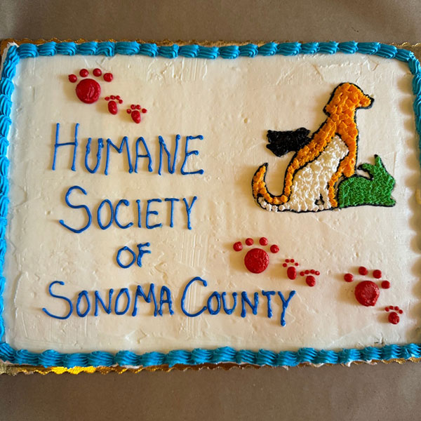 Humane Society of Sonoma County cake made for the Give Back Tuesday event at the Rainbow Cattle Company