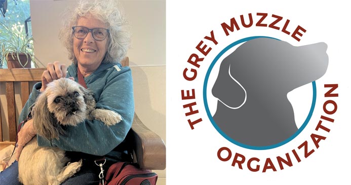 Emmi the dog wtih her owner, and Grey Muzzle Organization logo