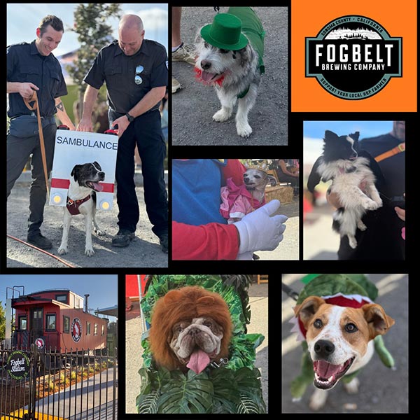 Howl-o-ween contest at Fogbelt Brewing