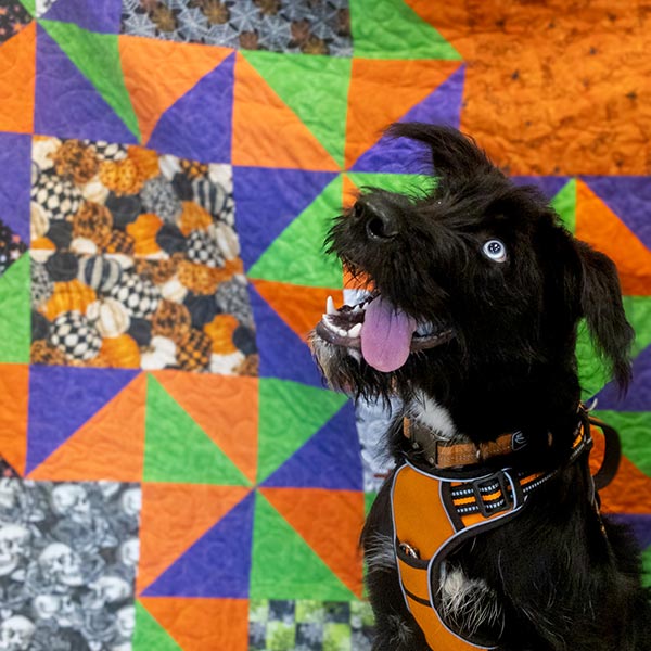 Burton with the HSSC Howl-o-ween quilt