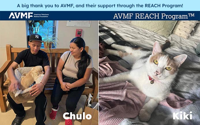 A big thank you to AVMF, and their support through the REACH Program! Chulo and owners, and Kiki the cat at the HSSC CVC