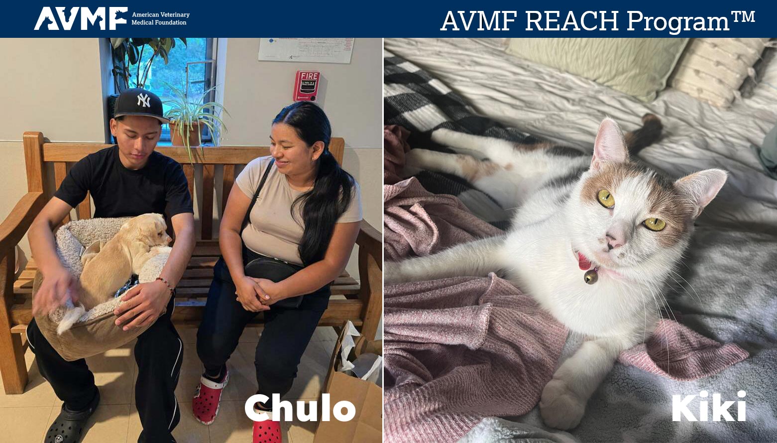 AVMF Reach Program helps Chulo the dog and Kiki the cat