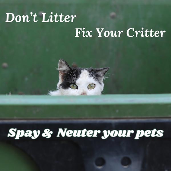 Don't Litter, Fix Your Critter... Spay and Neuter Your Pets - photo shows cat peeking above windowsill